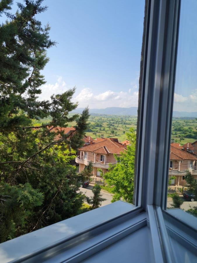 Bojana Apartment 内戈蒂诺 外观 照片