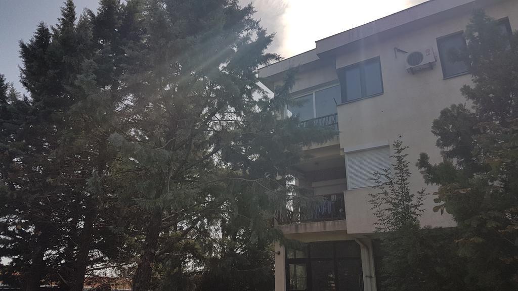 Bojana Apartment 内戈蒂诺 外观 照片